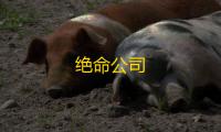 绝命公司